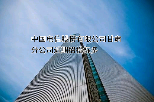 中国电信股份有限公司甘肃分公司
