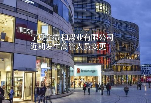 宁夏金泰和煤业有限公司