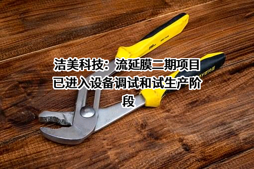 浙江洁美电子科技股份有限公司