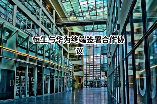 深圳华为终端商业有限公司