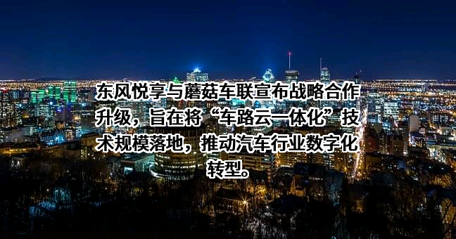 蘑菇车联信息科技有限公司