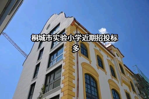 桐城市实验小学近期招投标项目多