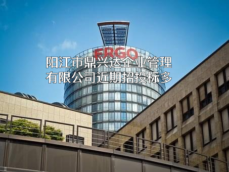 阳江市鼎兴达企业管理有限公司