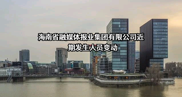 海南省融媒体报业集团有限公司