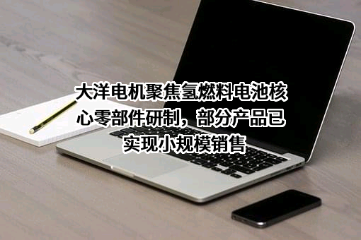 中山大洋电机股份有限公司