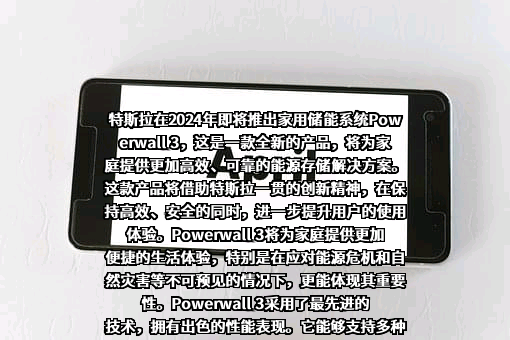 特斯拉（上海）有限公司