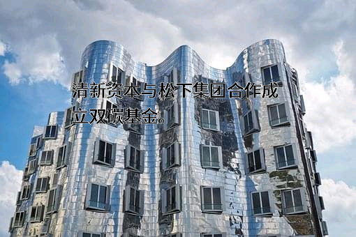 上海清新投资管理有限公司