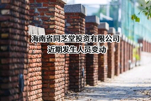 海南省同芝堂投资有限公司