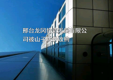 邢台龙冈投资发展有限公司