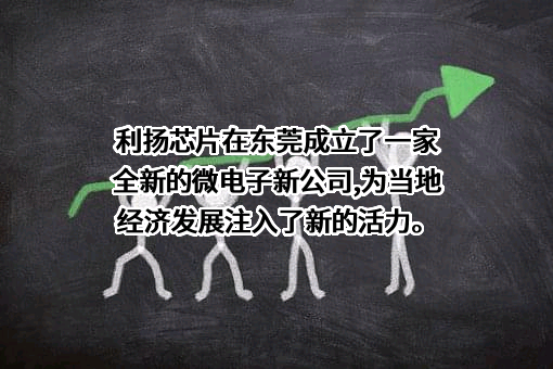 广东利扬芯片测试股份有限公司