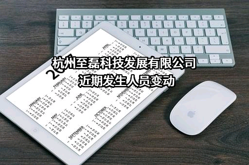 杭州至磊科技发展有限公司