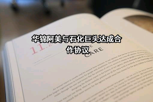 华锦阿美石油化工有限公司