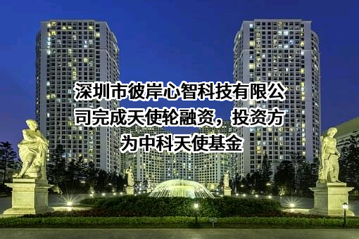 深圳市彼岸心智科技有限公司