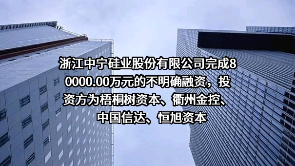 浙江中宁硅业股份有限公司