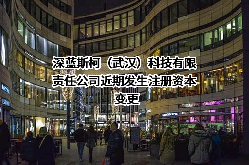 深蓝斯柯（武汉）科技有限责任公司