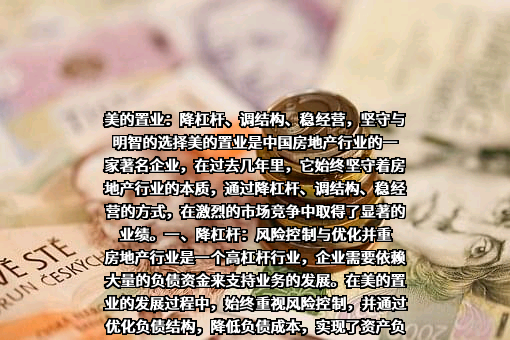 美的置业集团有限公司