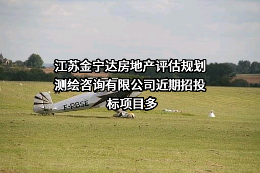 江苏金宁达房地产评估规划测绘咨询有限公司