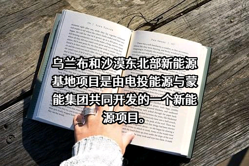 内蒙古电投能源股份有限公司
