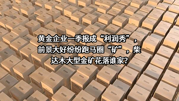 黄金企业一季报成“利润秀”，前景大好纷纷跑马圈“矿”，柴达木大型金矿花落谁家？