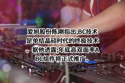 上海爱旭新能源股份有限公司