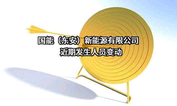 国能（东安）新能源有限公司