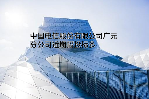 中国电信股份有限公司广元分公司