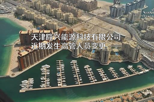 天津隆兴能源科技有限公司