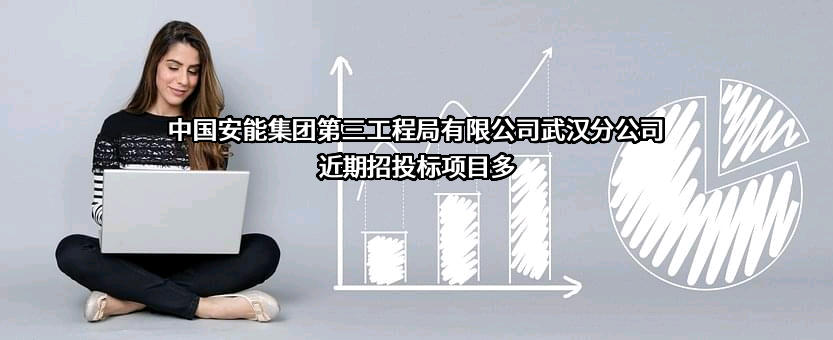中国安能集团第三工程局有限公司武汉分公司