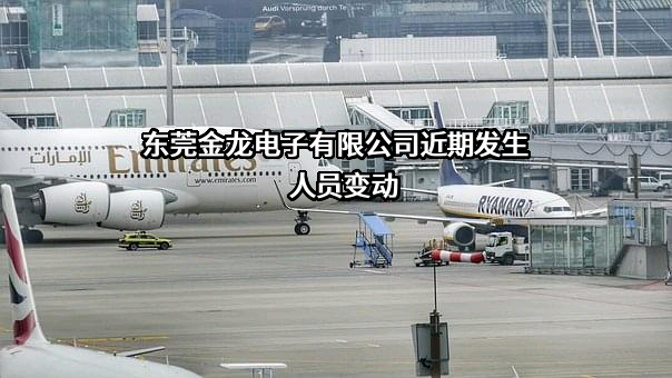 东莞金龙电子有限公司
