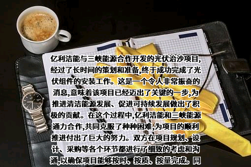 亿利洁能股份有限公司