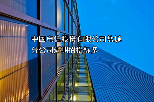 中国电信股份有限公司盐城分公司