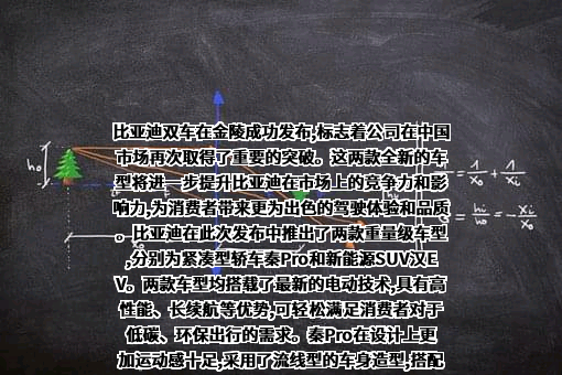 比亚迪股份有限公司