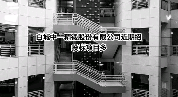 白城中一精锻股份有限公司