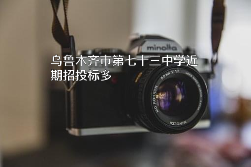 乌鲁木齐市第七十三中学