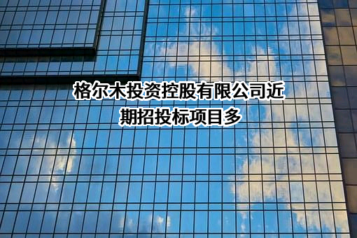 格尔木投资控股有限公司近期招投标项目多