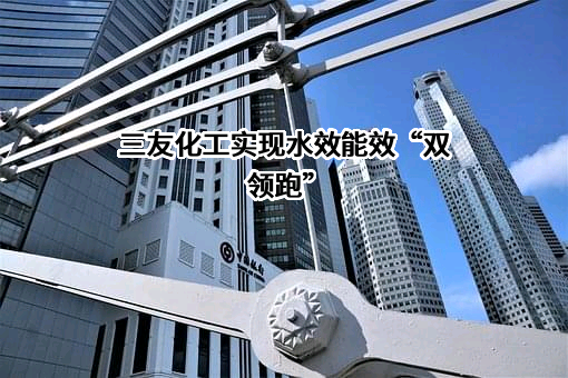 唐山三友化工股份有限公司