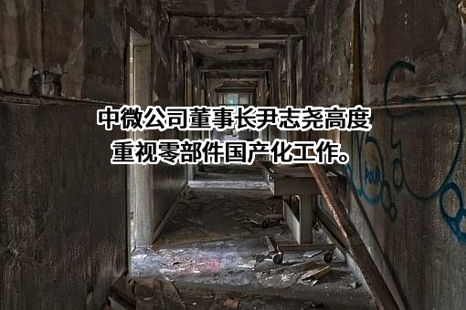 中微半导体设备（上海）股份有限公司