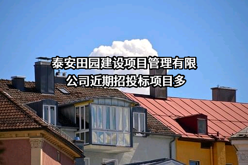 泰安田园建设项目管理有限公司