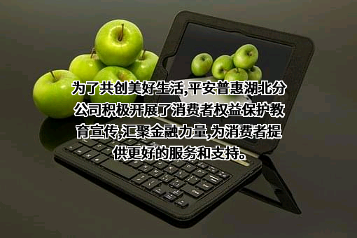 平安普惠融资担保有限公司湖北分公司