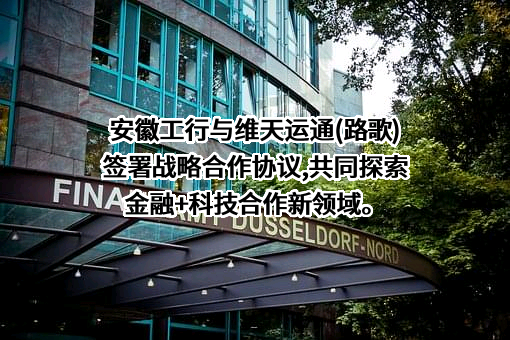 合肥维天运通信息科技股份有限公司