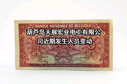 葫芦岛天展宏业电工有限公司