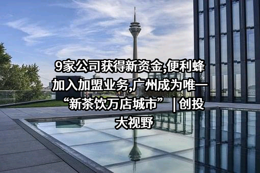虫极科技（北京）有限公司