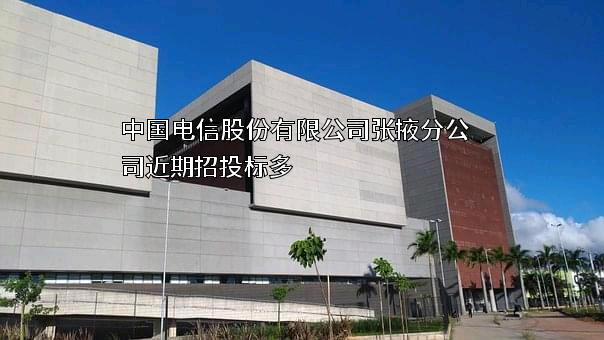 中国电信股份有限公司张掖分公司