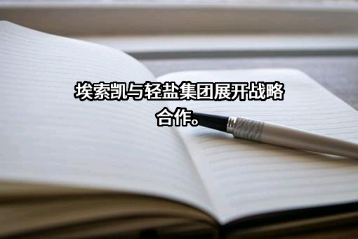 埃索凯科技股份有限公司