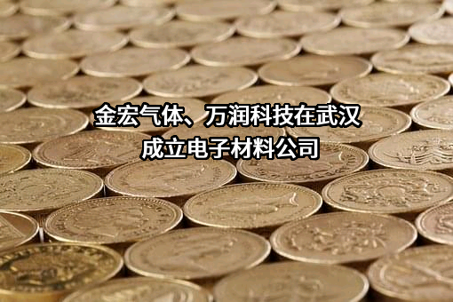 金宏气体、万润科技在武汉成立电子材料公司