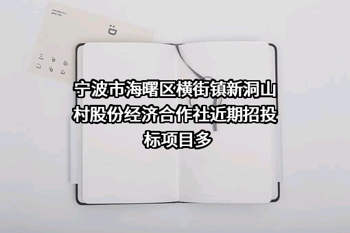 宁波市海曙区横街镇新洞山村股份经济合作社
