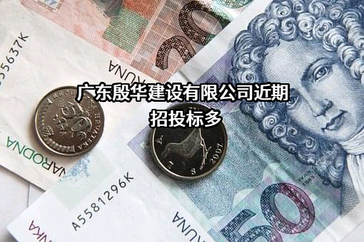 广东殷华建设有限公司