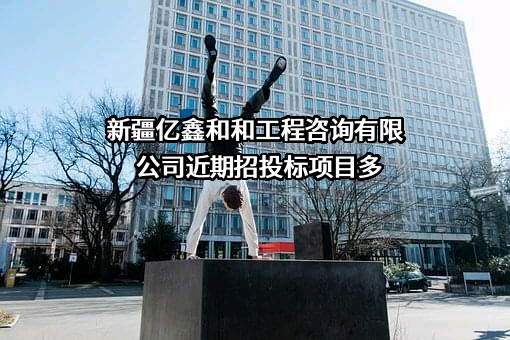 新疆亿鑫和和工程咨询有限公司