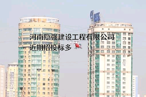 河南隐强建设工程有限公司