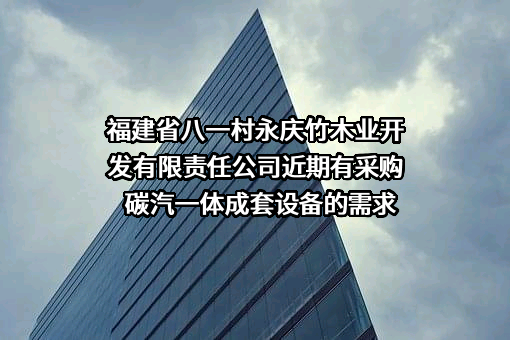 福建省八一村永庆竹木业开发有限责任公司近期有采购碳汽一体成套设备的需求